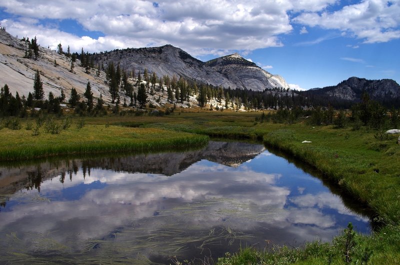 Along Fletcher Creek