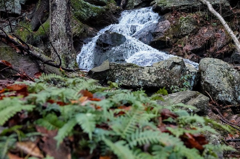 Even in late December, there is green to be found near this small cascade in Schunnemunk Mountain State Park