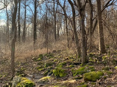 Mossy outcropping.  Several along the trail. Quite magical.