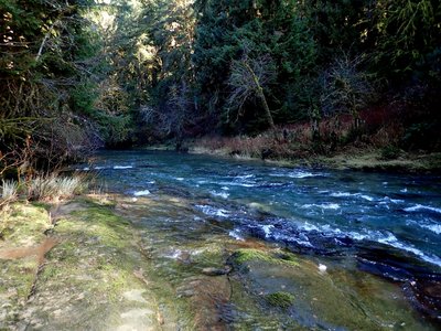 Drift Creek