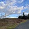 Walking Along the BPA Trail