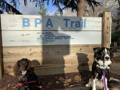 Walking the BPA Trail in Federal Way