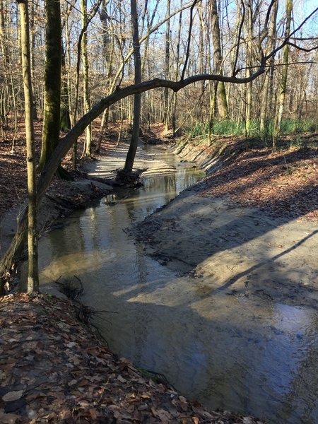 Creek after rain