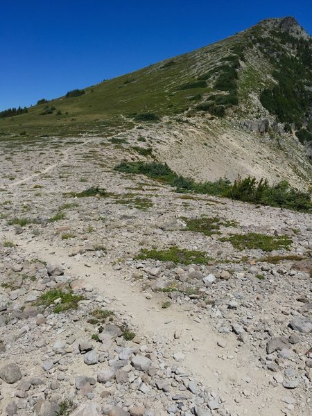 Trail to Skyscraper Mt, from Skyscraper Pass