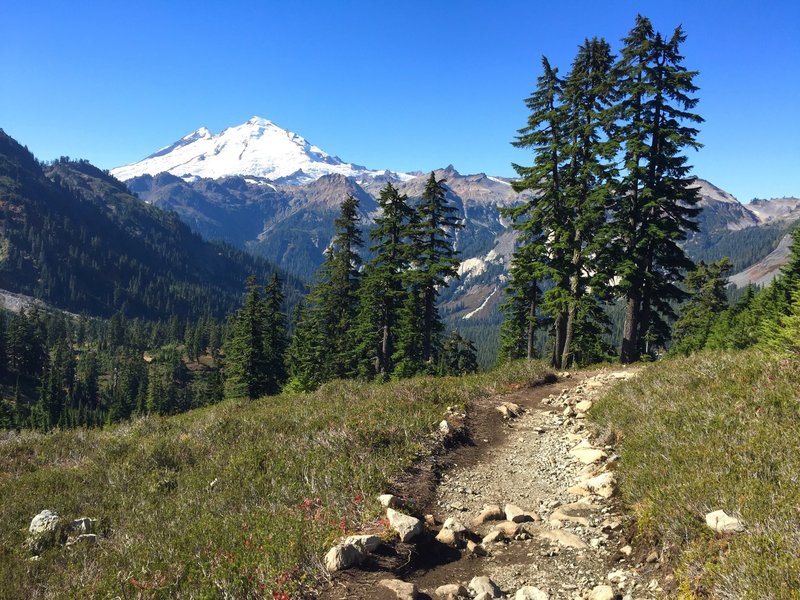 Mt Baker from Lake Ann Trail