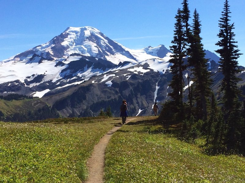 Along the Skyline Divide trail, with Mt Baker in the distance