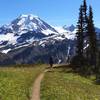 Along the Skyline Divide trail, with Mt Baker in the distance