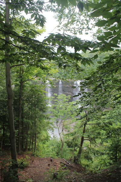 First Few of Falls