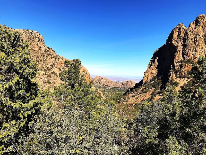 View from The Lost Mine Trail