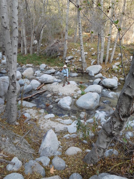 Typical crossing on Bear Creek Trail. Expect to do a lot of rock hopping or get your feet wet.