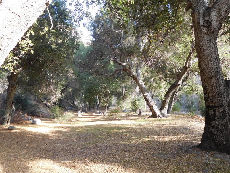 Lower Bear Creek Camp. There are no facilities and campfires are prohibited.