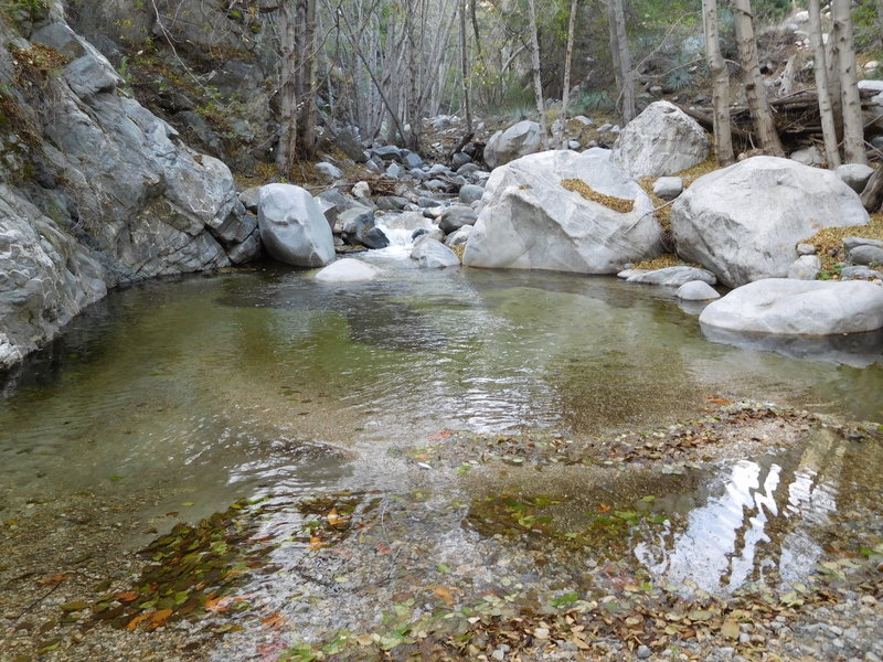 Large pool where the West Fork Bear Creek enters the main canyon.