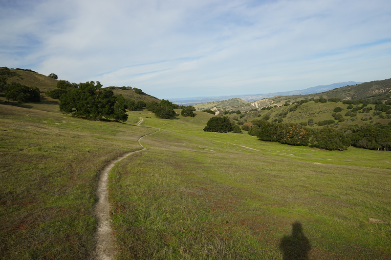 Meadow path