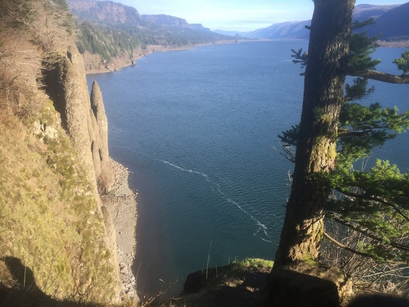 Cape Horn Loop Lower Section Lookout