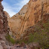 The walls in this part of Lower Spring Canyon are mostly Navajo and Kayenta sandstone.