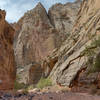 Trees grow out of even the smallest gaps in the Kayenta Sandstone.