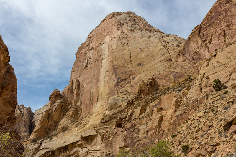 Massive Navajo Sandstone towers on both sides of Lower Spring Canyon.