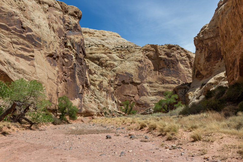 Lower Spring Canyon opens up towards the confluence with the Fremont River.