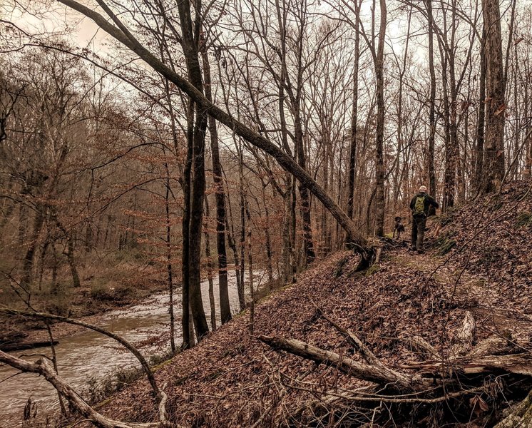 Shoal Creek Trail