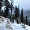 The forest opens up for some good views of Leverich Canyon.