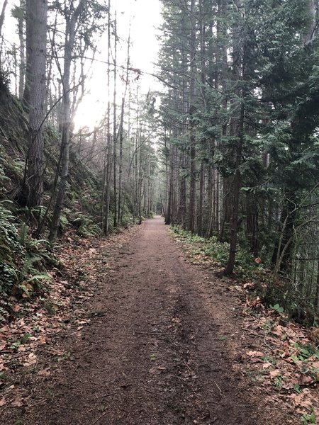 Long, straight and mostly flat as you near Larabee State Park.