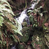 One of many cascades along this trail.