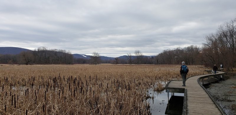 You can see the Mountain Creek ski trails.