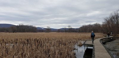 You can see the Mountain Creek ski trails.