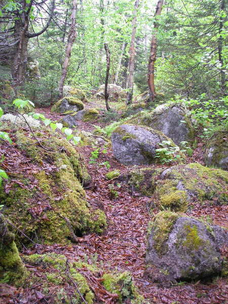 Trail D3 along the cliff face changes at every turn