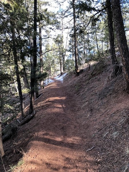 Heading uphill from the parking lot. One of the best maintained trails from fallen trees I have come across.