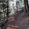 Heading uphill from the parking lot. One of the best maintained trails from fallen trees I have come across.