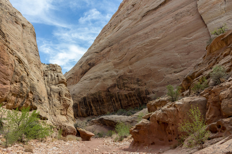 Intimidating walls made of Navajo Sandstone in the narrows of Grand Wash