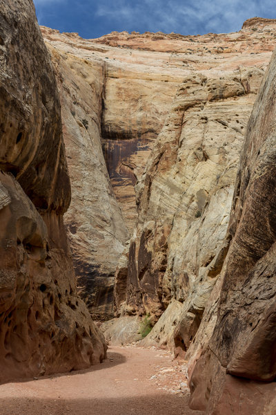 Grand Wash Narrows