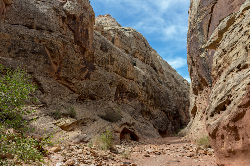 The Narrows of Grand Wash