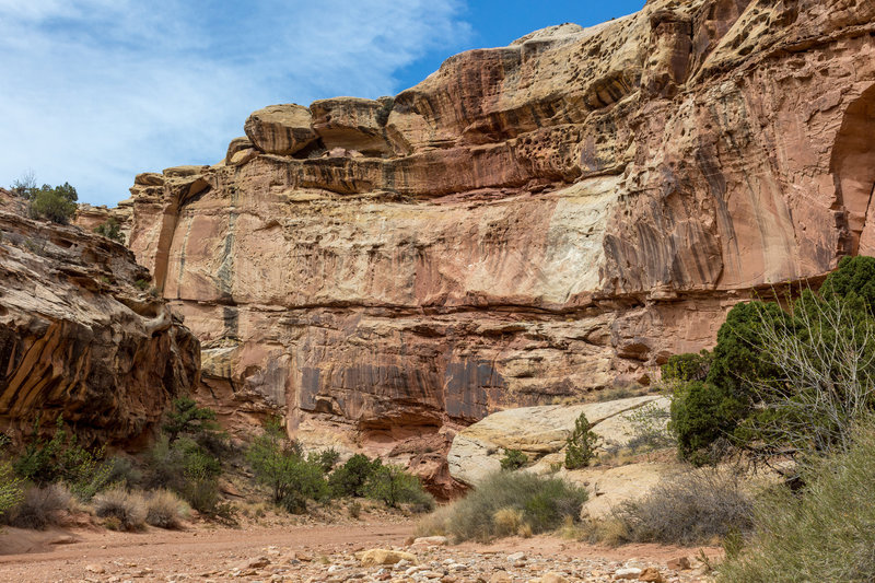 You can see how water has carved its way into the sandstone over millions of years through different layers of rock creating beautiful turns in Grand Wash