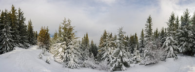Mt. Zion summit. Not a whole lot of view. Head down the Snow Creek trail 1/2 mile for an amazing view.