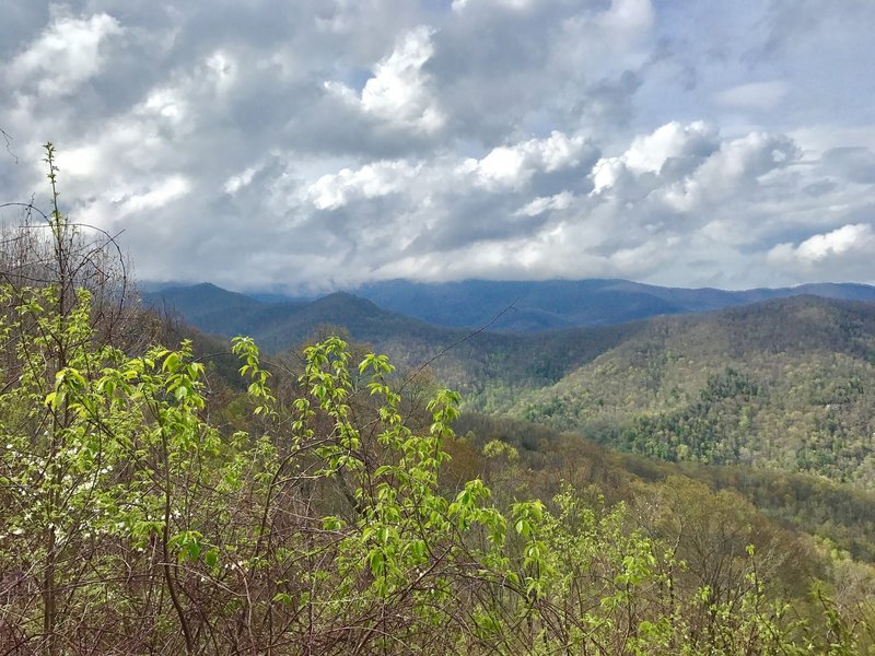 Beautiful view from trail leading to Hangover