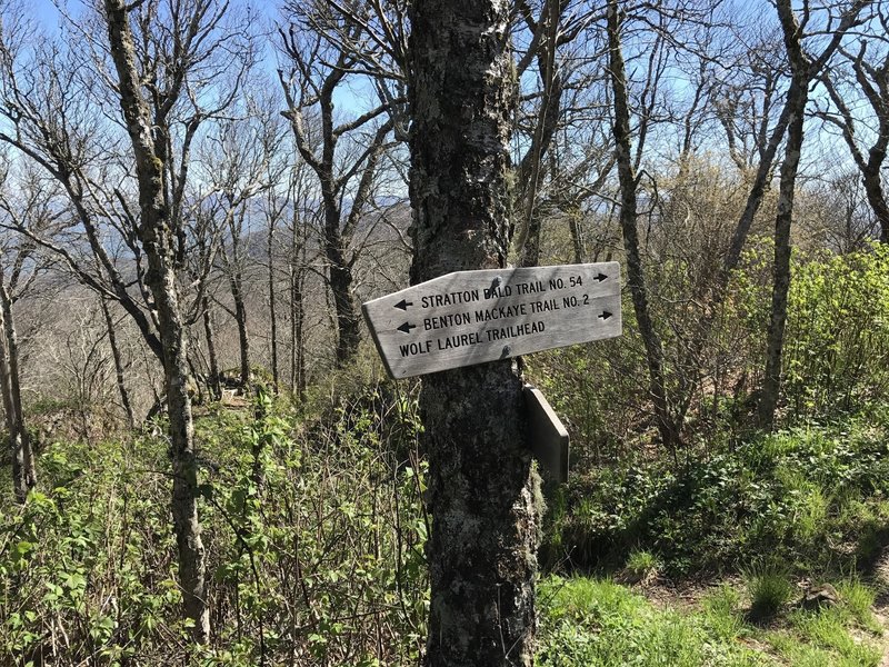 Wolf Laurel Trail intersection with Benton MacKaye Trail #2