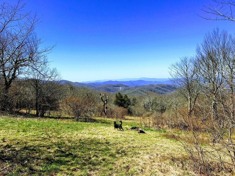 Bob Bald, an amazing place to camp with wonderful views