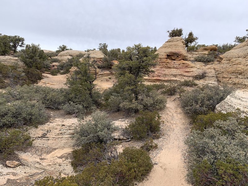 South Rim Trail