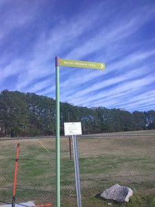 Break in Trail near Pullen Park