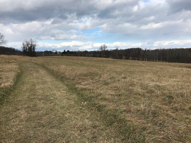 Wide cut grass trail