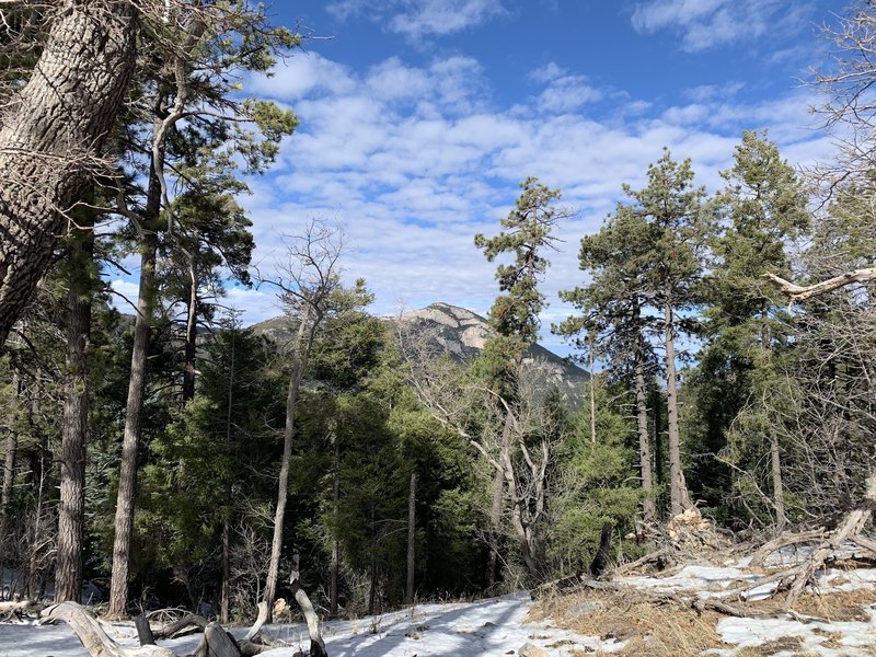 View of Ramsey Peak from Bear Saddle