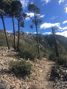 Ida Canyon Trail departing from Bear Saddle