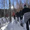 Tromping through aspen groves along the East Lake Creek Trail #1880.