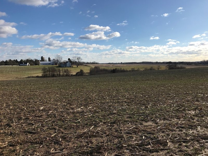 Looking south across the farm