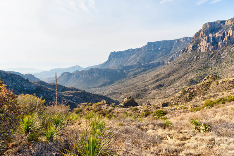 Views from Lost Mine Trail