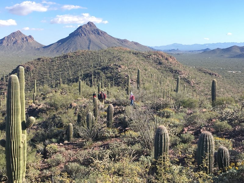 Brown Mountain Loop - five very happy hikers!