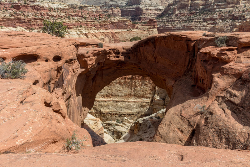 Cassidy Arch from above.