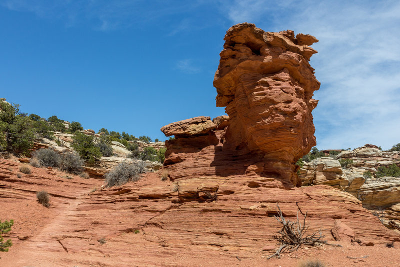 Layered red sandstone next to Cassidy Arch Trail